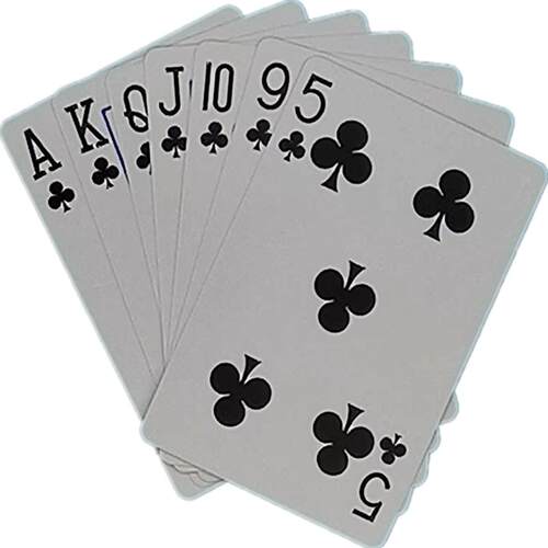 姚记扑克牌整箱100副258纸牌加厚大字飞牌花切创意成人网红斗地主