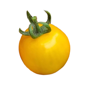 传家宝樱桃小番茄种子小千禧白妃超甜种籽孑苗秧四季果苗秧苗籽种