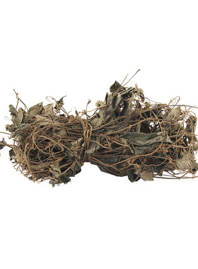 沙县小吃配料 百灵草 小吃炖罐煲汤药材 500克