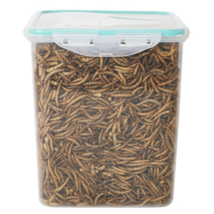 面包虫干仓鼠零食黄粉虫鹦鹉鸟龟粮食金丝熊饲料刺猬黄粉虫用品4L