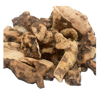 野生新鲜食用硬饭头白茯苓中药材