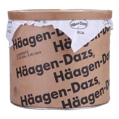哈根达斯进口商用雪糕送杯勺