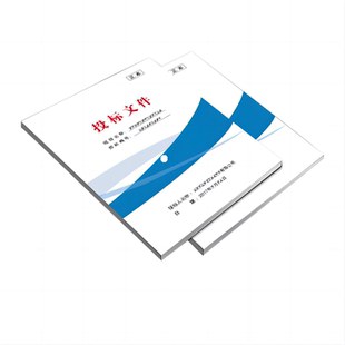 标书制作代做投标文件预算物业采购保洁食堂施工上传排版加急代制