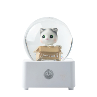 鸟之诗水晶球音乐盒八音盒灯生日礼物小女孩儿童女生公主梦幻摆件