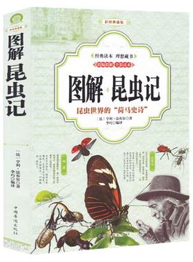昆虫记无注音儿童文学全彩图解