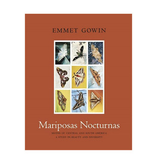 【预售】英文原版 夜蝶：中美洲和南美洲的飞蛾 关于美丽和多样性的研究 Mariposas Nocturnas 摄影作品 正版进口书籍艺术画册 善
