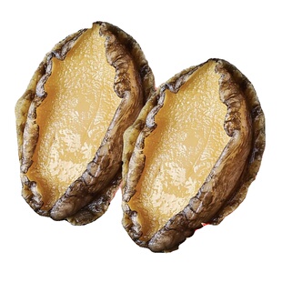 鲍鱼肉鲜活冷冻新鲜特大号去壳冰鲜速冻小鲍鱼肉海鲜火锅食材商用