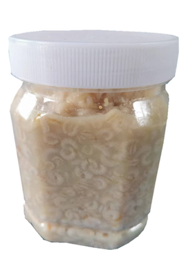 新鲜正品女性保养调理包邮蜂王胎