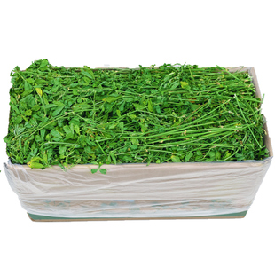 24年7A烘干提摩西草段北提草兔子龙猫豚鼠荷兰猪兔粮牧草饲料