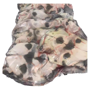 生鲜小甲鱼麻辣小甲鱼用生鲜甲鱼甲鱼仔半成品净甲鱼去皮去腿油