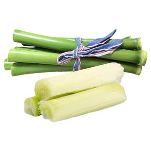 甜高粱种子农家老品种高糖绿皮甜干蔗春夏四季小甘蔗种孑甜杆种籽