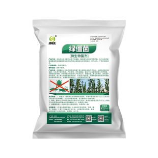 微生物菌绿僵菌寄生侵染虫体交替传染金龟子蛴螬地老虎蝼蛄