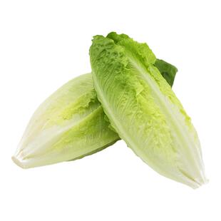 包心罗马生菜500g 罗纹生菜黄心罗马西餐新鲜蔬菜沙拉食材色拉菜