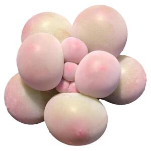 韩版汤圆手指奶酪多肉植物超萌肉新手肉控养精品超萌糖豆迷你盆栽