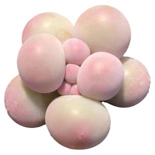 韩版汤圆手指奶酪多肉植物超萌肉新手肉控养精品超萌糖豆迷你盆栽