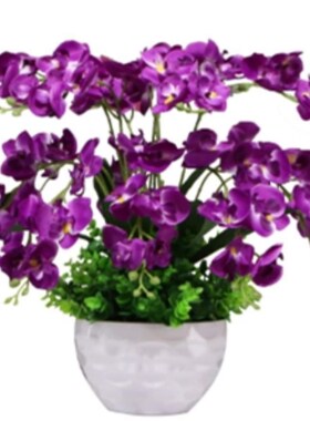 包邮蝴蝶兰花艺盆栽仿真干花套装饰假花绢花客厅餐桌摆设摆放花卉