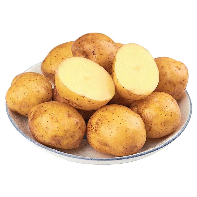恩施富硒小土豆新鲜现挖黄心土豆小个马铃薯洋芋粉糯沙面批发精选