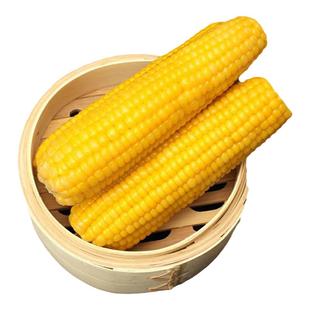 田里有草甜糯玉米黄糯玉米东北吉林苞谷真空袋装早餐搭挡家庭装礼
