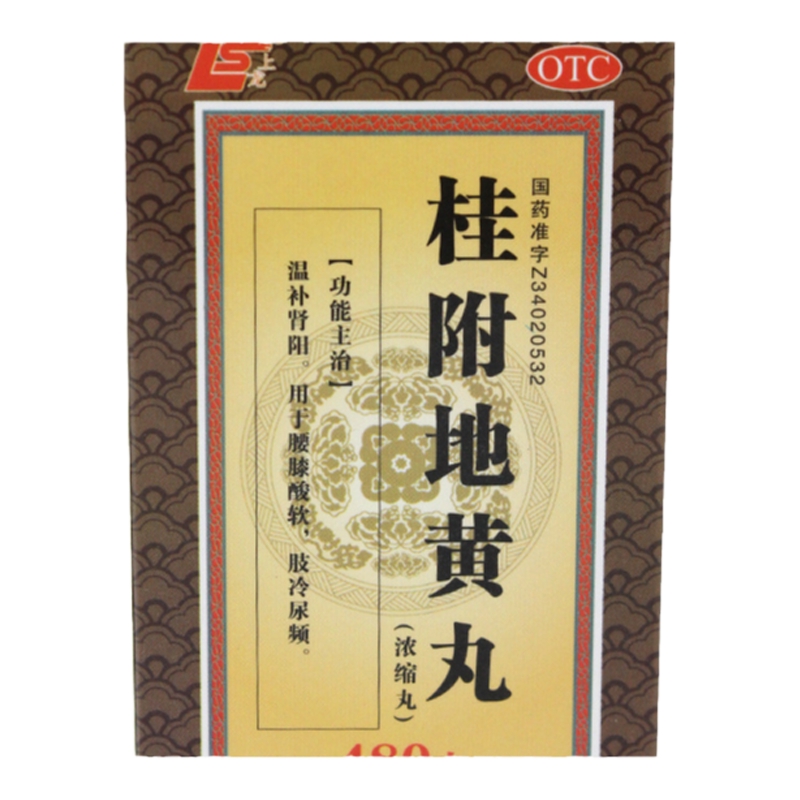 【上龙】桂附地黄丸(浓缩丸)0.375g*480丸/盒