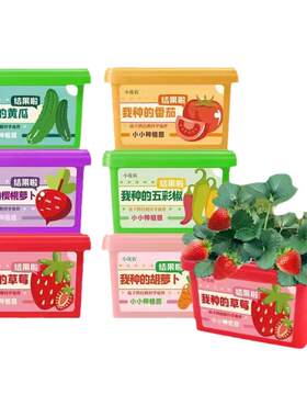 儿童种植小盆栽幼儿园观察种子