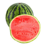 麒麟西瓜苗秧美都懒汉特大无籽嫁接阳台盆栽四季8424西瓜种子苗子