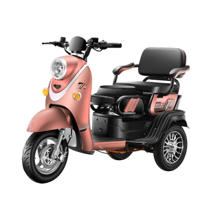 新款电动三轮车家用小型老年人代步车接送孩子电瓶车成人助力车女