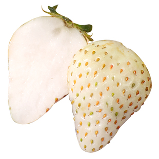 丹东淡雪白草莓白雪公主牛奶白色新鲜大奶油孕妇水果顺丰包邮