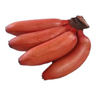 广西红美人香蕉5斤新鲜特级红皮孕妇水果食品精选大果现摘现发