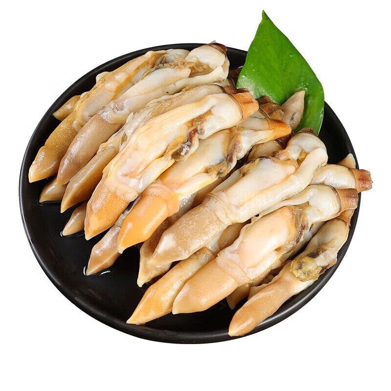 5斤现剥冷冻野生蛏子王顺丰