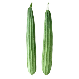 丝瓜种籽特长丝瓜种子苹果白香八棱肉丝瓜种孑四季阳台蔬菜苗大全