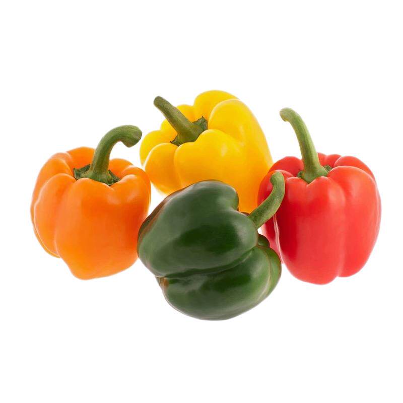 蔬菜种子大全阳台菜籽小香芹香菜小葱籽蔬菜种孑家庭阳台四季种植