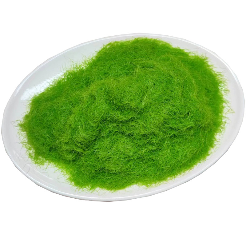 园艺铺面鱼缸苔藓仿野生草绒绿植