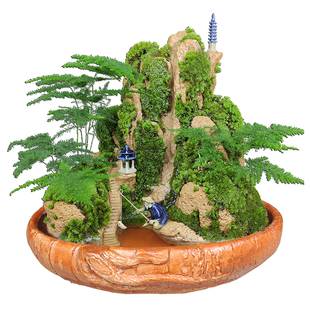 吸水奇石假山盆景小摆件上水石植物石头原天然室内山水流水版造景