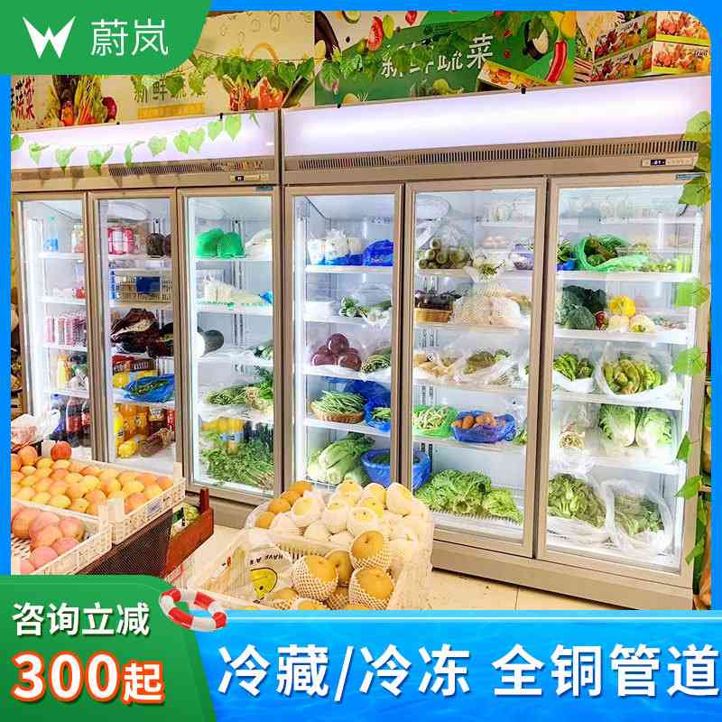 立式冷藏柜商用啤酒饮料双门冰箱超市预制菜展示柜生鲜食品保鲜柜