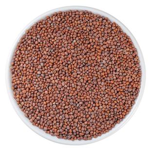 莱菔子中药材500克炒莱菔子新货莱菔子茶炒熟萝卜籽 可磨莱菔子粉