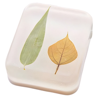 植物干花花瓣花叶组合玫瑰花苞