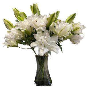 冰美人百合鲜花花束云南直发鲜切花水养插花同城速递重瓣百合花
