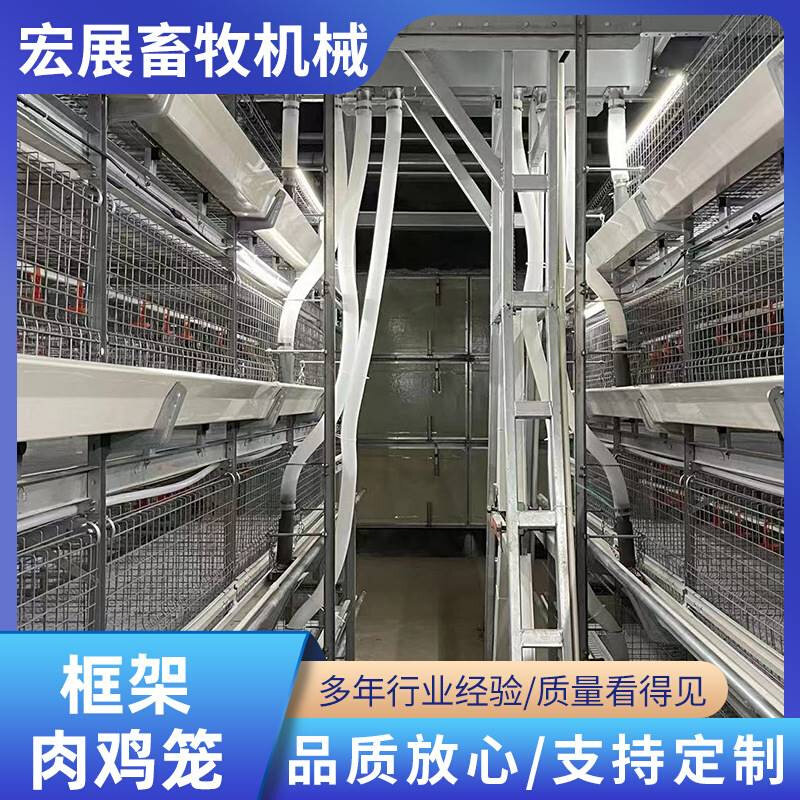 框架肉鸡笼鸡笼多种规格发货快养殖蛋鸡笼量大从优框架笼养肉鸡笼