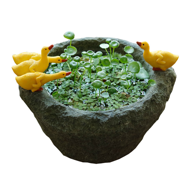创意水培植物花盆个性多肉花器仿石臼小鸭子摆件盆栽简约开业礼物