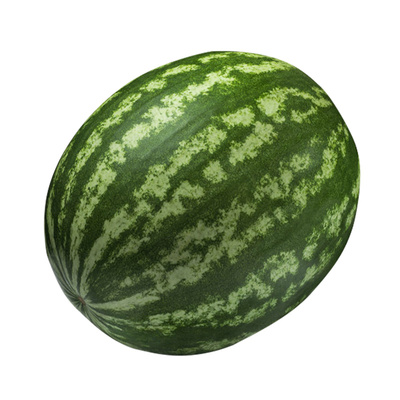 懒汉特大巨型西瓜种籽南方