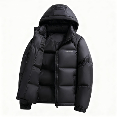 雪中飞鹅绒羽绒服男士加厚保暖