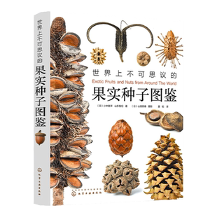 世界上不可思议的果实种子图鉴 小林智洋 赠精美蒲公英项链 300张高精细图片 画报j亚光铜版纸圆脊精装平展 自然爱好者梦幻读本