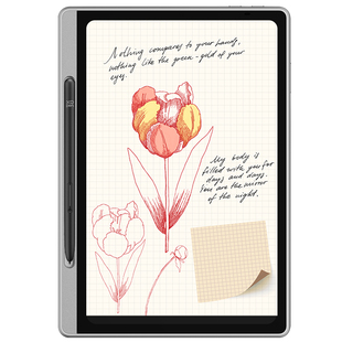 XPPen 彩色类纸护眼平板Note Pad 16384级压感手写学生学习彩色纸感屏记事绘画电子笔记本10.9英寸平板电脑