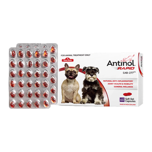 新西兰安替诺Antinol宠物猫狗软骨素关节瘸腿跛行髌骨脱位安它诺