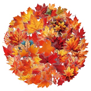 60张卡通枫树枫叶PET透明贴纸植物树叶装饰手机水杯电脑防水贴画