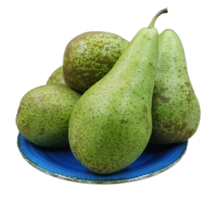 比利时啤梨大果5斤装荷兰青啤梨甜梨软梨新鲜孕妇水果宝宝辅食