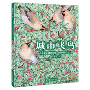 城市飞鸟 6岁以上亲子共读一部关于可以在城市范围内找到的鸟类指南自然科普 鸟类图鉴 生态保护 艺术教育细腻温柔的彩铅绘图
