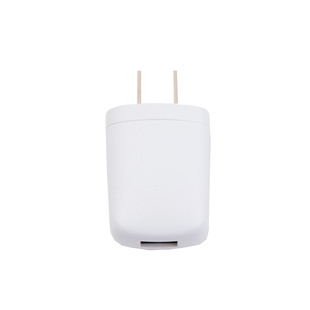 Exideal靓肤环专用充电插头