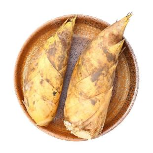 薯小萌临安冬笋新鲜现挖正宗天目山毛竹笋黄泥笋顺丰发货