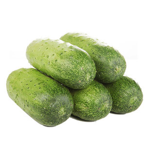 地黄瓜种子满地爬无架不爬架旱黄瓜种籽春秋四季庭院阳台蔬菜包邮